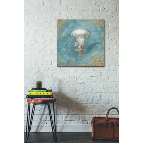 Image of 'Treasures From The Sea VI' by Danhui Nai, Canvas Wall Art,26 x 26