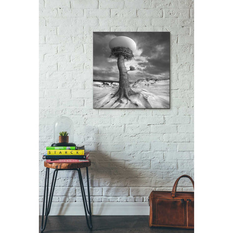 Image of '2nests' by Dariusz Klimczak, Canvas Wall Art,26 x 26