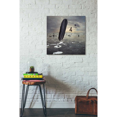 Image of 'Featherland' by Dariusz Klimczak, Canvas Wall Art,26 x 26