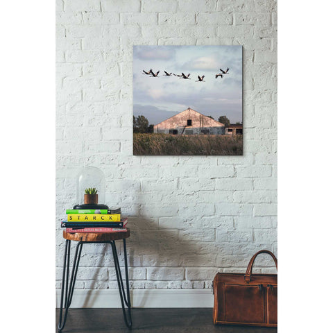 Image of 'Oktet' by Dariusz Klimczak, Canvas Wall Art,26 x 26