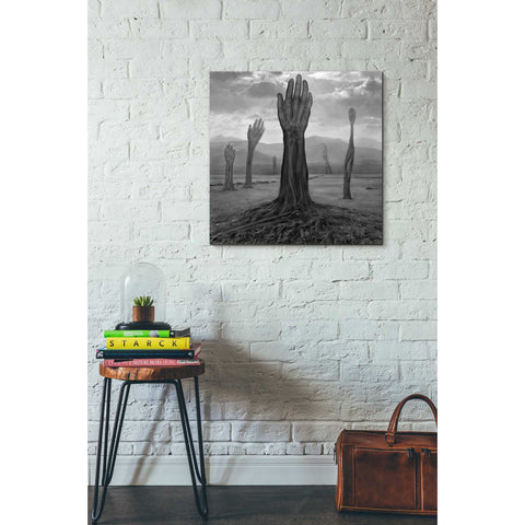 Image of 'Rentgen' by Dariusz Klimczak, Canvas Wall Art,26 x 26
