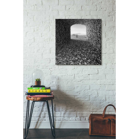 Image of 'Labyrinth' by Dariusz Klimczak, Canvas Wall Art,26 x 26