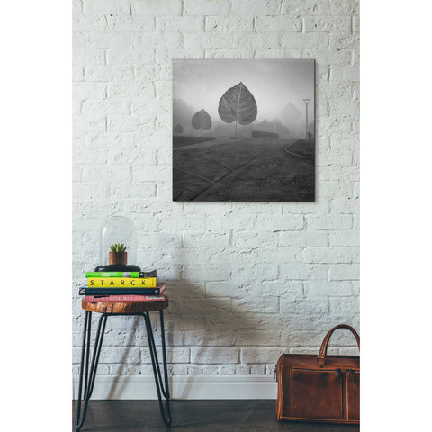 Image of 'Leave Alley' by Dariusz Klimczak, Canvas Wall Art,26 x 26