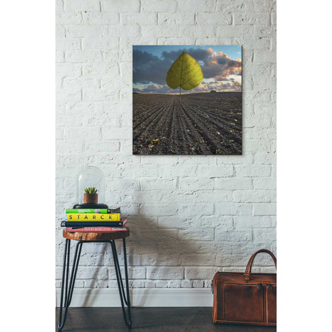 Image of 'Listen to Listek' by Dariusz Klimczak, Canvas Wall Art,26 x 26