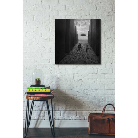 Image of 'Passageway' by Dariusz Klimczak, Canvas Wall Art,26 x 26