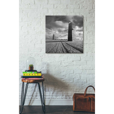 Image of 'Szflandia' by Dariusz Klimczak, Canvas Wall Art,26 x 26