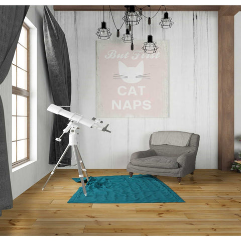 Image of 'But First Cat Naps' by Linda Woods, Canvas Wall Art,26 x 30