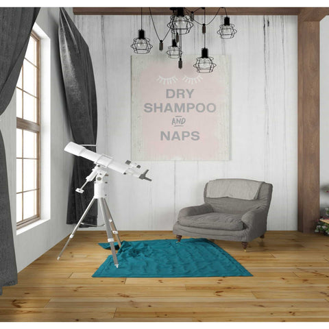 Image of 'Dry Shampoo And Naps' by Linda Woods, Canvas Wall Art,26 x 30