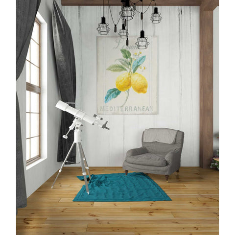 Image of 'Floursack Lemon III' by Danhui Nai, Canvas Wall Art,26 x 34