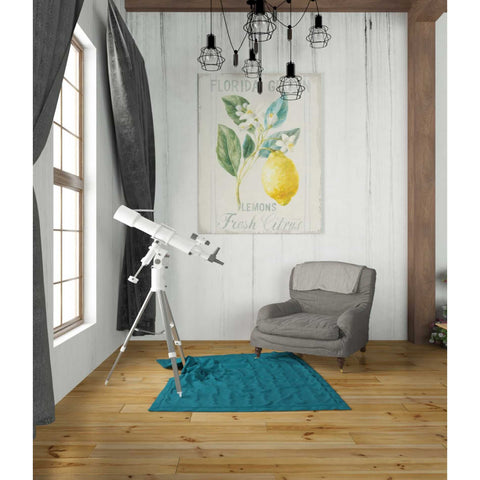 Image of 'Floursack Lemon I' by Danhui Nai, Canvas Wall Art,26 x 34