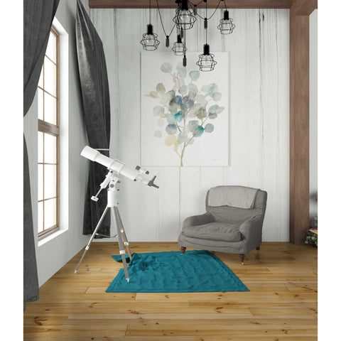 Image of 'Eucalyptus III White' by Danhui Nai, Canvas Wall Art,26 x 34