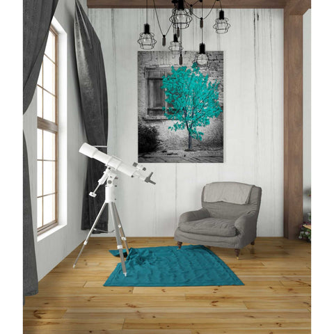 Image of 'Wisdom' Canvas Wall Art,26 x 34