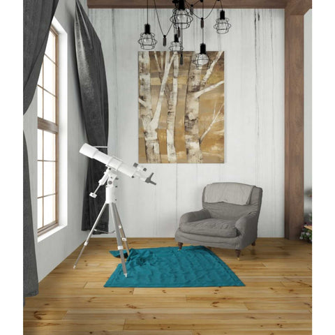 Image of 'Wandering Through the Birches II' by Albena Hristova, Canvas Wall Art,26 x 34