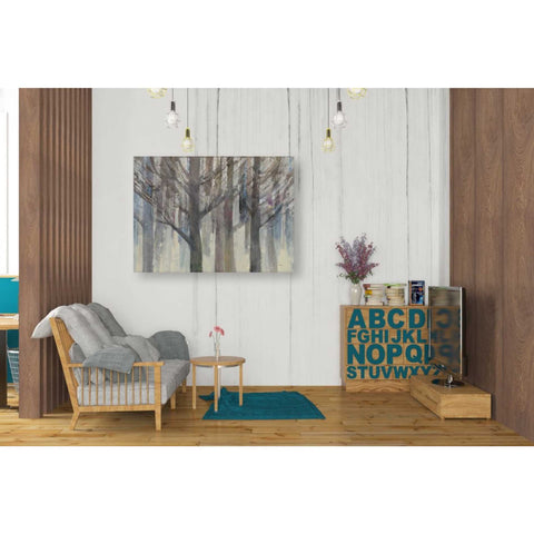 Image of 'Forest Light' by Albena Hristova, Canvas Wall Art,34 x 26