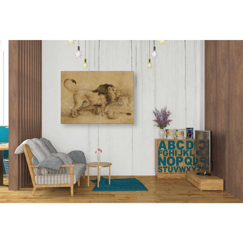 Image of 'Global Lions Light Crop' by Cheri Blum, Canvas Wall Art,26 x 34