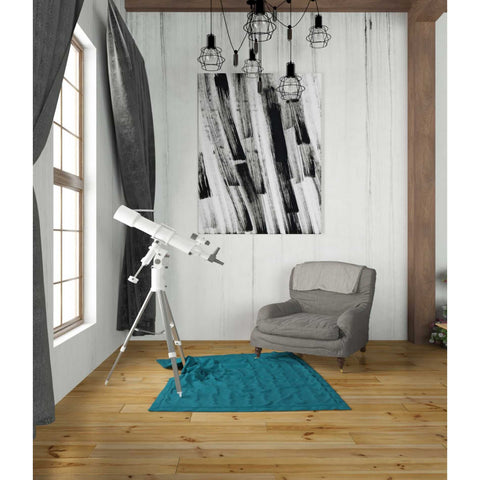 Image of 'Black and White Strokes South' Canvas Wall Art,26 x 34
