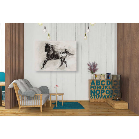 Image of 'Rustic Appaloosa II' by Ethan Harper Canvas Wall Art,34 x 26