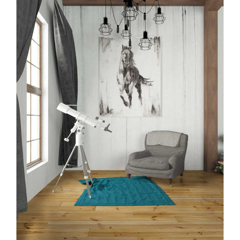 Image of 'Rustic Black Stallion II' by Ethan Harper Canvas Wall Art,26 x 34