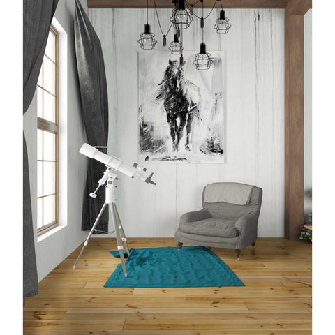 Image of 'Rustic Stallion II' by Ethan Harper Canvas Wall Art,26 x 34