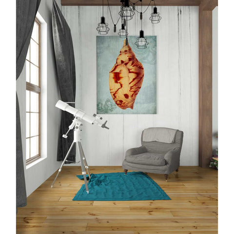 Image of 'Coastal Life Collection 2 d' by Fab Funky Giclee Canvas Wall Art