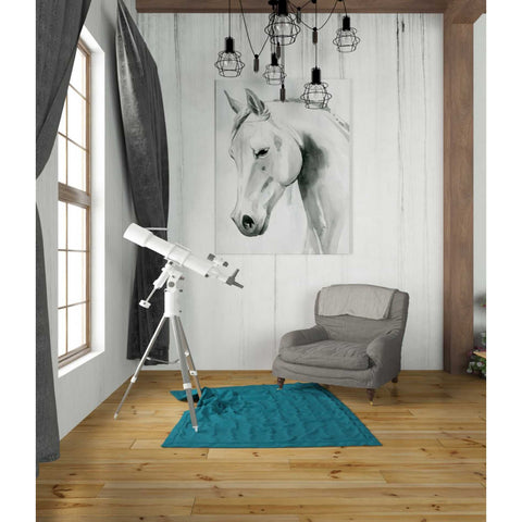 Image of 'Horse Whisper I' by Grace Popp Canvas Wall Art,26 x 34