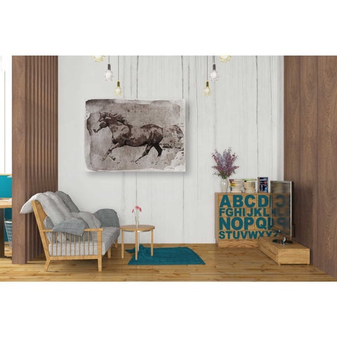 Image of 'Brown Horse Running' by Irena Orlov, Canvas Wall Art,34 x 26