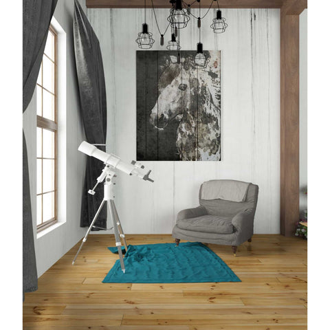 Image of 'SPIRIT EYE Horse' by Irena Orlov, Canvas Wall Art,26 x 34