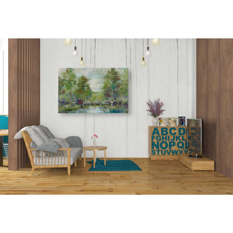 Image of 'Forest At Dawn' by Silvia Vassileva, Canvas Wall Art,26 x 40