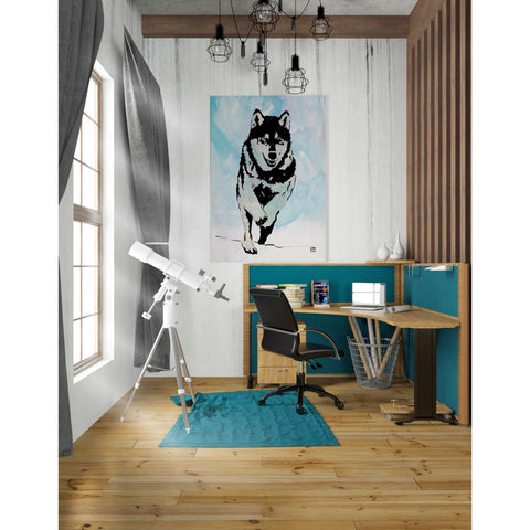 Image of 'Wolf 2' by Giuseppe Cristiano, Canvas Wall Art,26 x 40