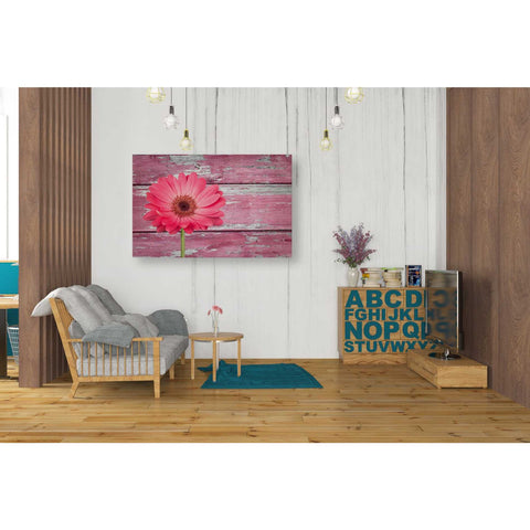 Image of 'Pink Beginnings' Canvas Wall Art,26 x 40