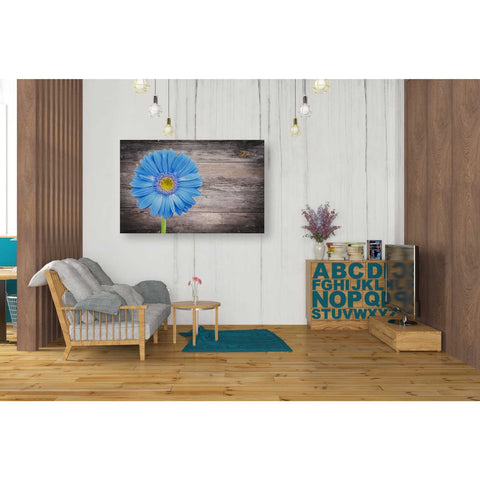 Image of 'Serenity' Canvas Wall Art,26 x 40