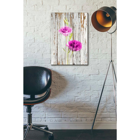 Image of 'Sensitive, Creative, yet Rustic' Canvas Wall Art,26 x 40