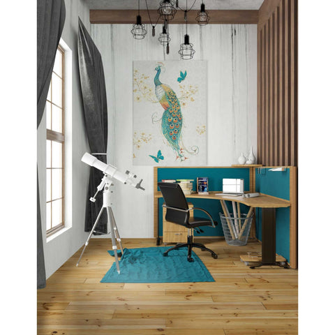 Image of 'Ornate Peacock XA' by Daphne Brissonet, Canvas Wall Art,26 x 40