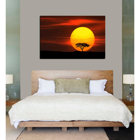 Image of 'Circle of Life' Canvas Wall Art,26 x 40