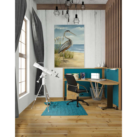 Image of 'Shore Bird I' by Ethan Harper Canvas Wall Art,26 x 40