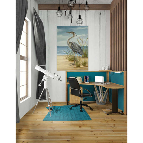 Image of 'Shore Bird II' by Ethan Harper Canvas Wall Art,26 x 40