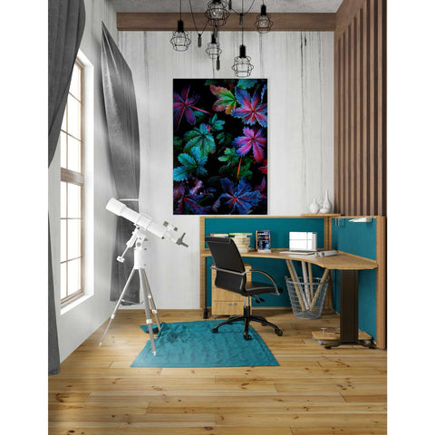 Image of 'Frosty Fall' by Darren White, Canvas Wall Art,26 x 40
