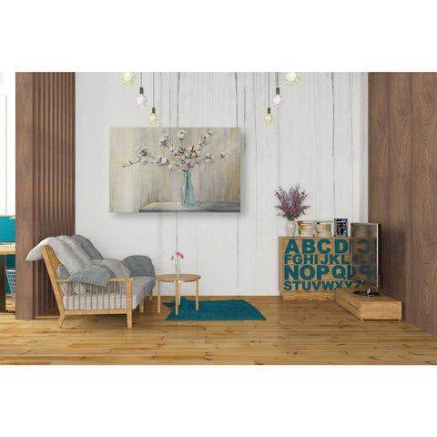 Image of 'Cotton Bouquet' by Julia Purinton, Canvas Wall Art,26 x 40