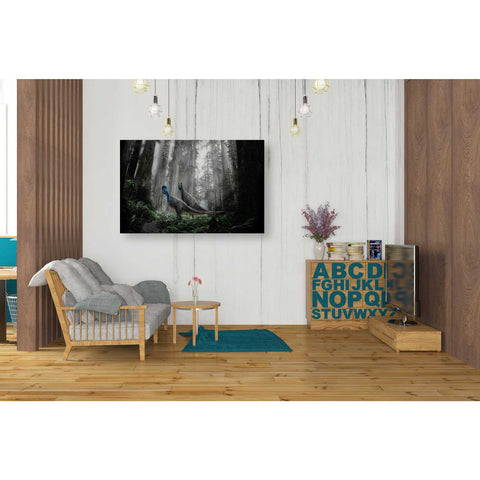 Image of 'Breeding Season' Canvas Wall Art,26 x 40