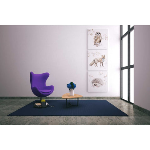 Image of 'Woodland Walk VIII' by Lisa Audit, Canvas Wall Art,,37 x 37