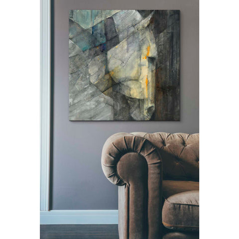 Image of 'Quiet' by Albena Hristova, Canvas Wall Art,37 x 37