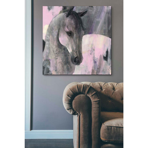 Image of 'Gallant' by Albena Hristova, Canvas Wall Art,37 x 37