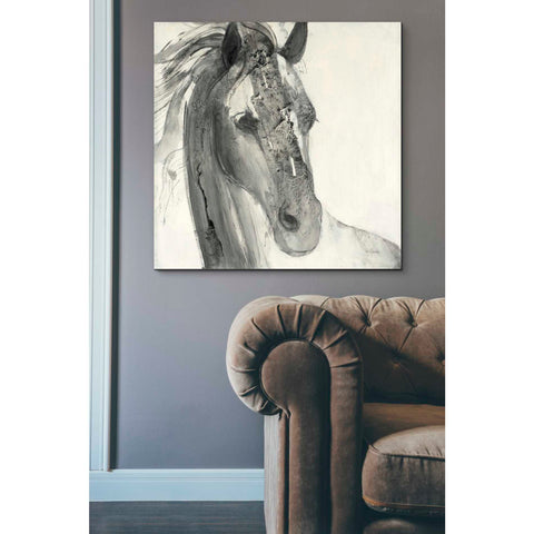 Image of 'In the Wind I' by Albena Hristova, Canvas Wall Art,37 x 37