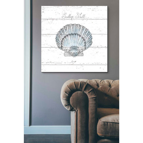 Image of 'Aqua Underwater Life VIII Shiplap' by Daphne Brissonet, Canvas Wall Art,37 x 37