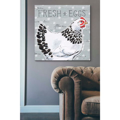 Image of 'Roosters Call II' by Daphne Brissonet, Canvas Wall Art,37 x 37