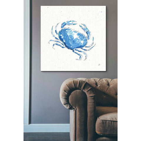 Image of 'Maritime X' by Daphne Brissonet, Canvas Wall Art,37 x 37