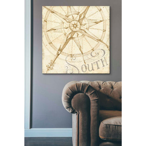 Image of 'Coast to Coast Sepia II' by Daphne Brissonet, Canvas Wall Art,37 x 37
