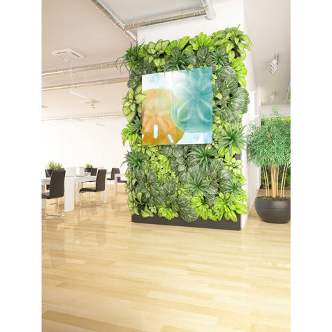 Image of 'Luminous Seashells' by Elena Ray Canvas Wall Art,37 x 37