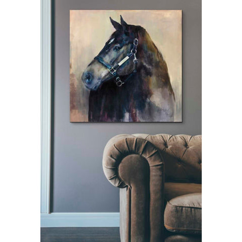 Image of 'Ritzy Light' by Marilyn Hageman, Canvas Wall Art,37 x 37