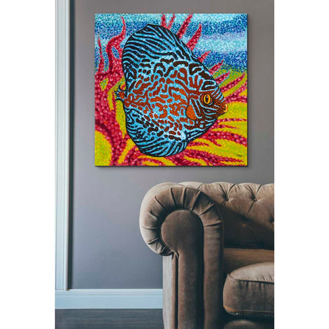 Image of 'Brilliant Tropical Fish II' by Carolee Vitaletti Giclee Canvas Wall Art